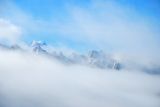 dsc_7303.jpg